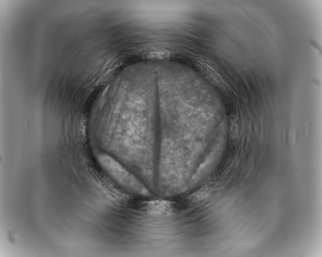 X0000094790363200712071233