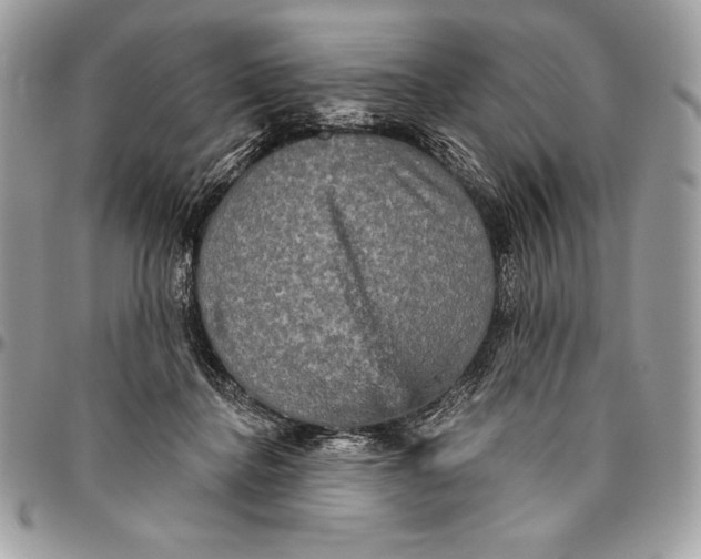 X0000094790364200712071233