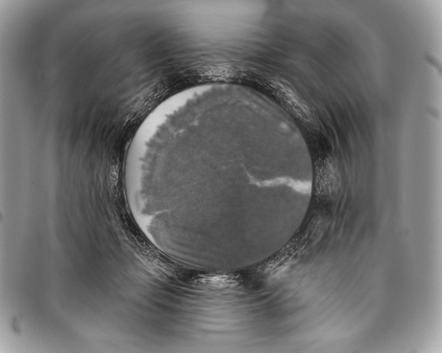 X0000094790365200712071233