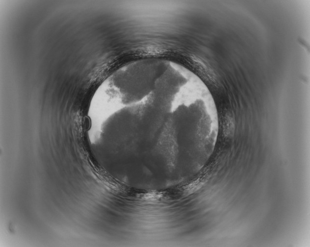 X0000094790366200712071234