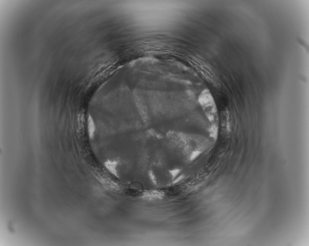 X0000094790369200712071234