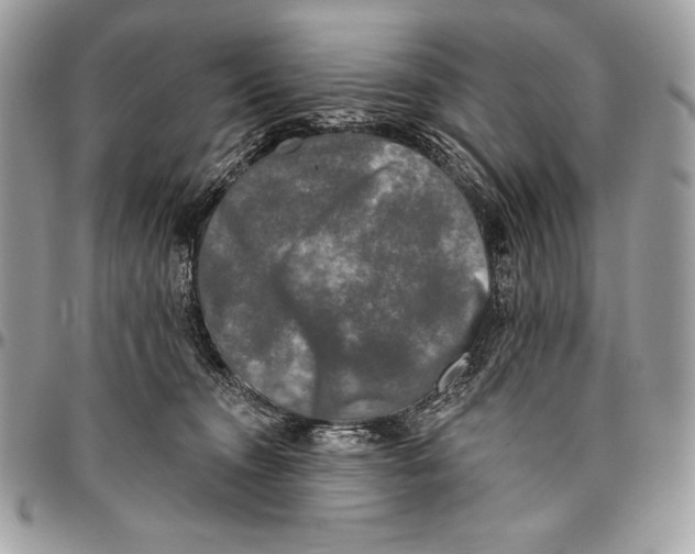 X0000094790372200712071234