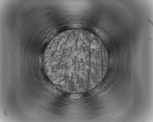 X0000094790373200712071234