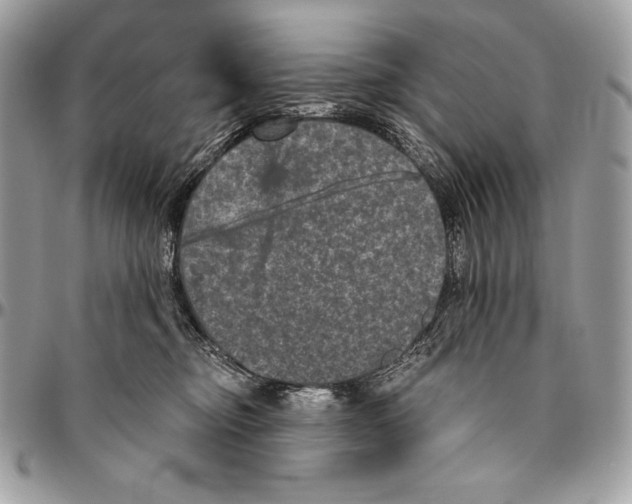 X0000094790374200712071234