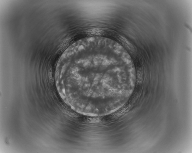 X0000094790377200712071234