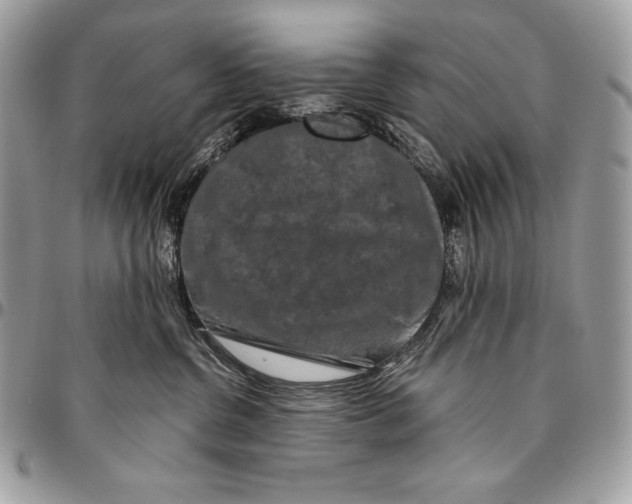 X0000094790380200712071234