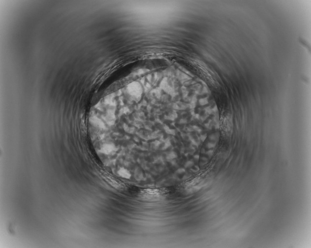 X0000094790381200712071234