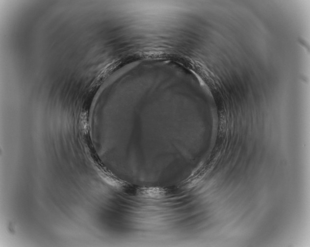 X0000094790383200712071234