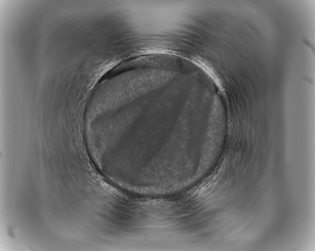 X0000094790385200712071233