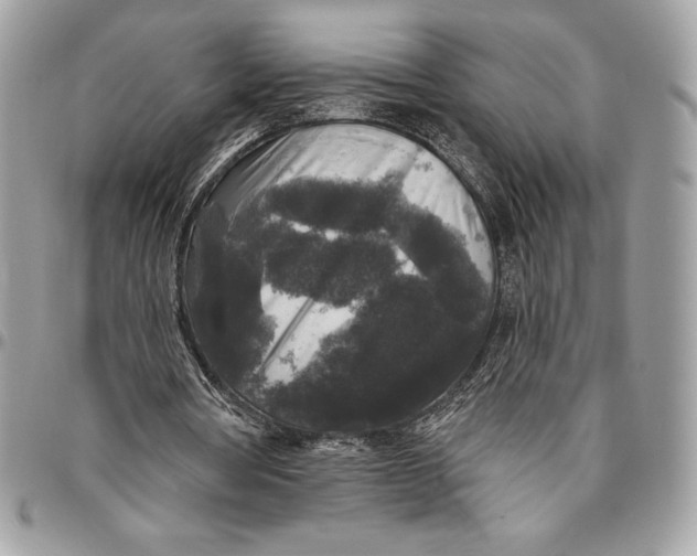 X0000094790386200712071233