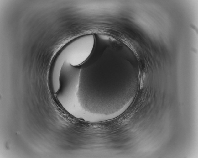 X0000094790387200712071233