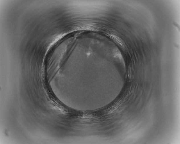 X0000094790388200712071233