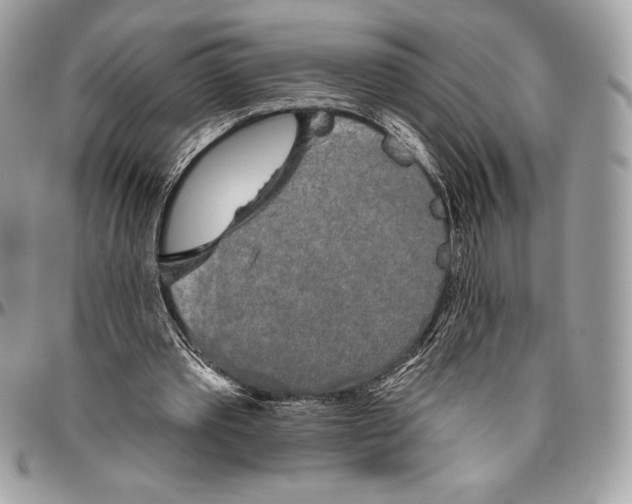 X0000094790389200712071233