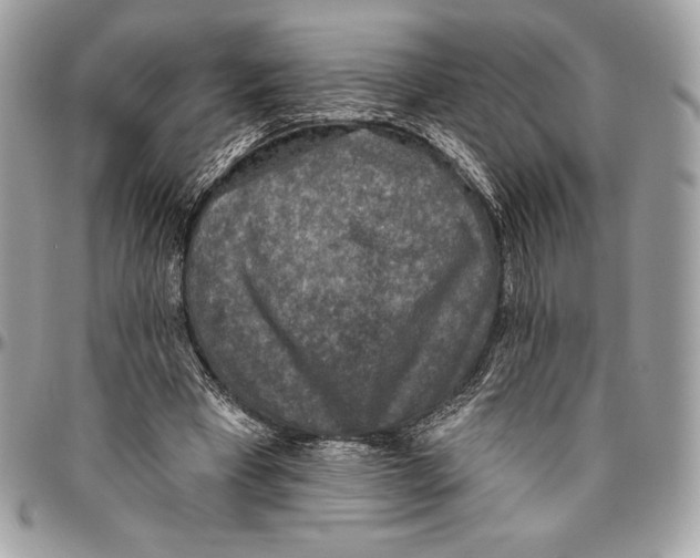 X0000094790393200712071233