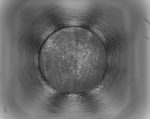 X0000094790394200712071233