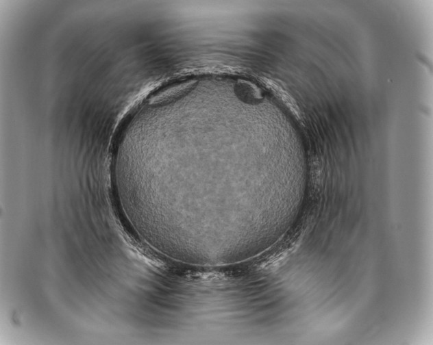 X0000094790395200712071233