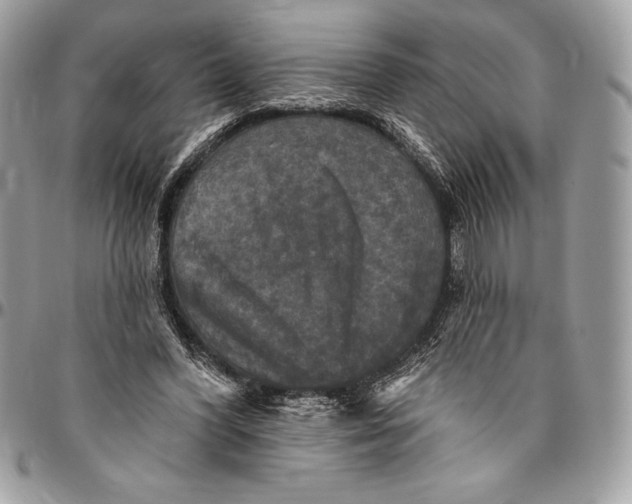 X0000094790396200712071233