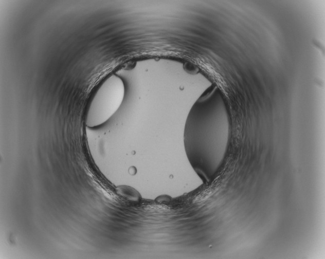 X0000094790397200712071233