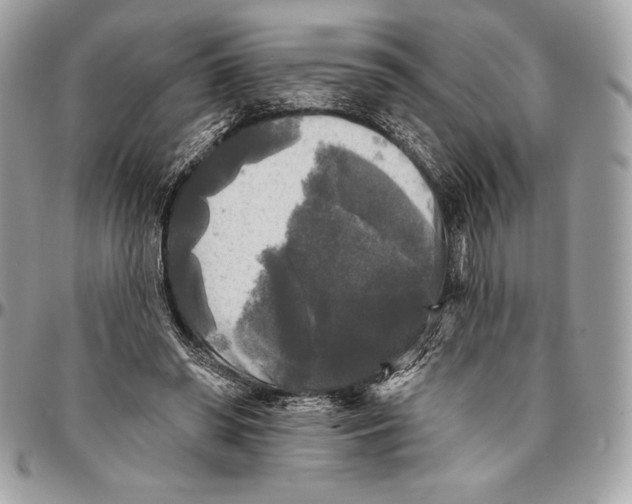 X0000094790398200712071233