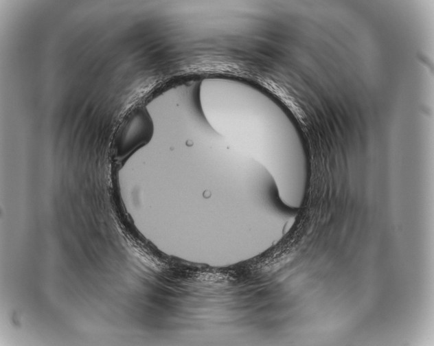 X0000094790399200712071233