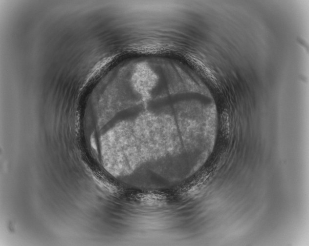 X0000094790400200712071233