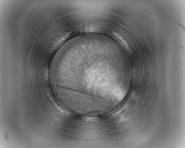 X0000094790401200712071233