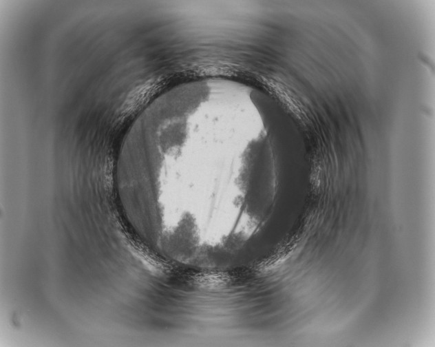 X0000094790402200712071233