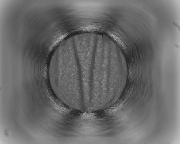 X0000094790403200712071233