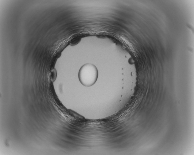 X0000094790405200712071233