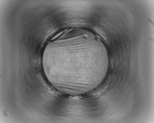 X0000094790407200712071233