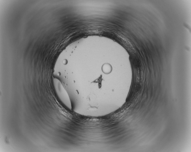 X0000094790409200712071233