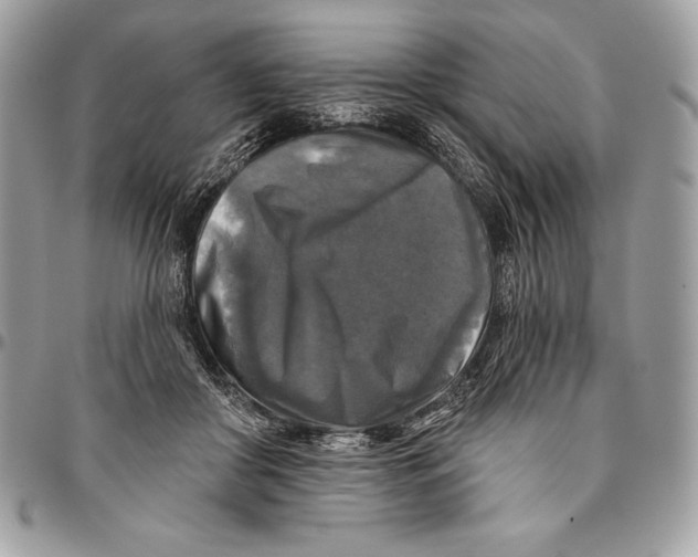 X0000094790410200712071233