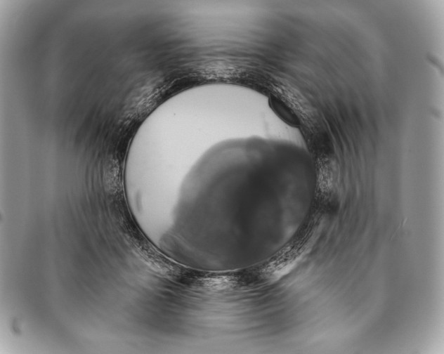 X0000094790411200712071233