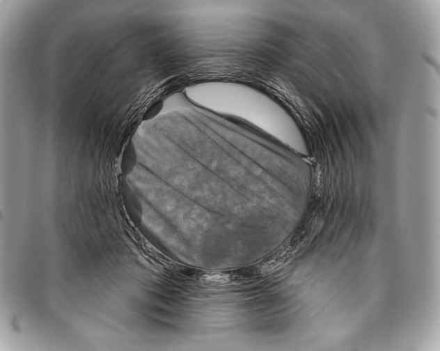 X0000094790413200712071233