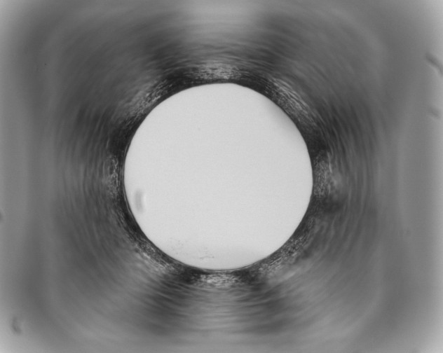 X0000094790414200712071233