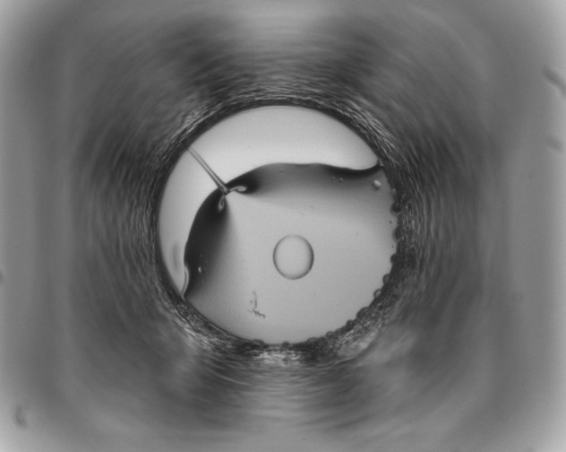 X0000094790415200712071233