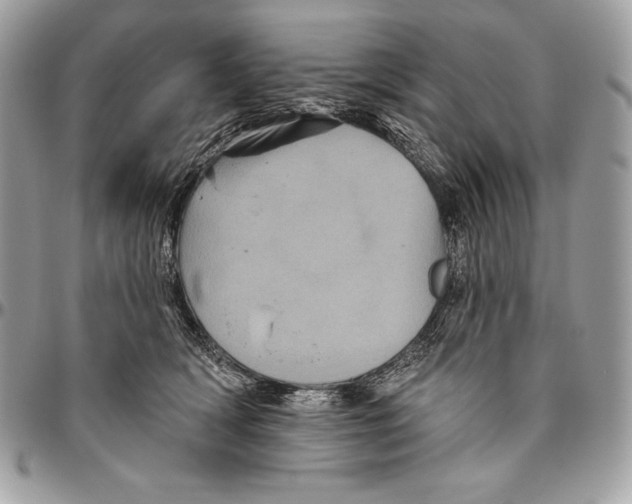 X0000094790418200712071233