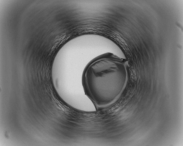 X0000094790419200712071233