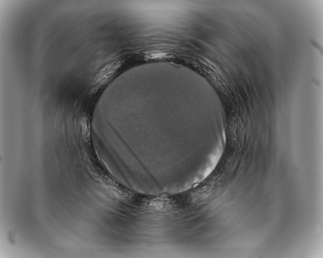 X0000094790420200712071233