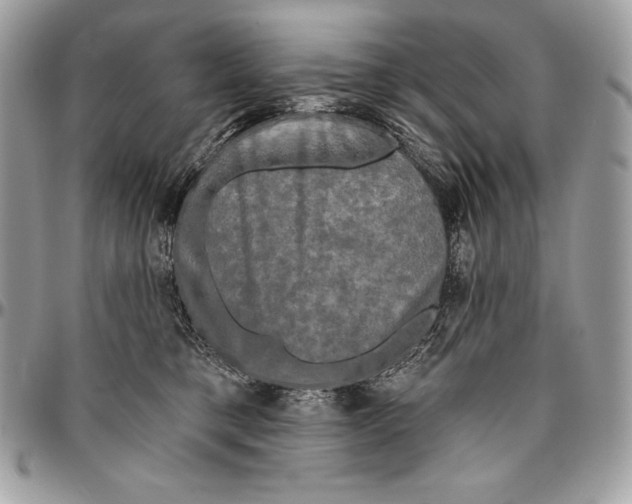 X0000094790421200712071233