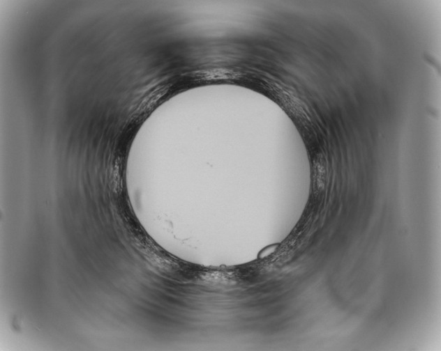 X0000094790422200712071233