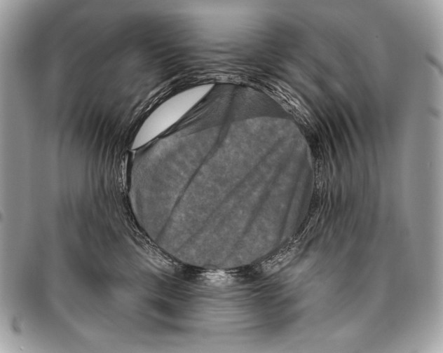 X0000094790425200712071233