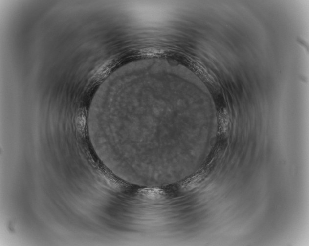 X0000094790427200712071233