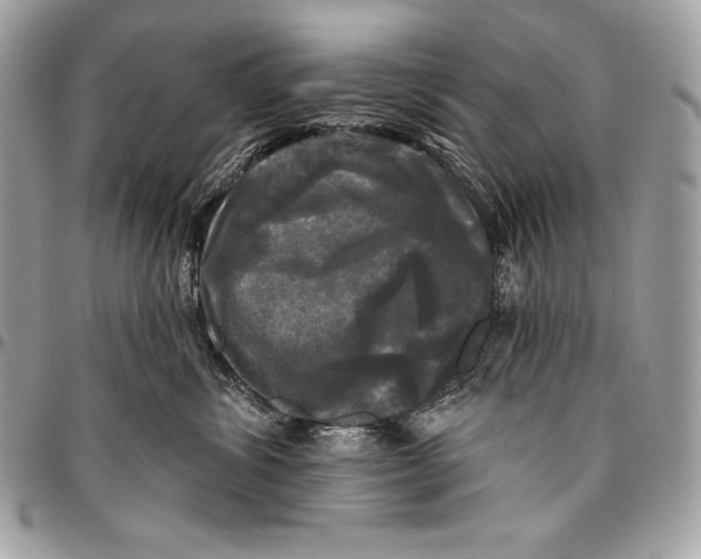 X0000094790428200712071233