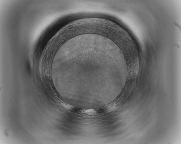 X0000094790431200712071232