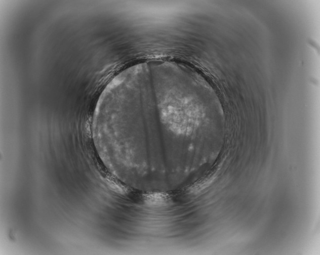 X0000094790432200712071232