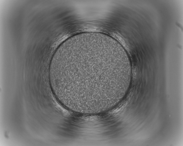 X0000094790433200712071232