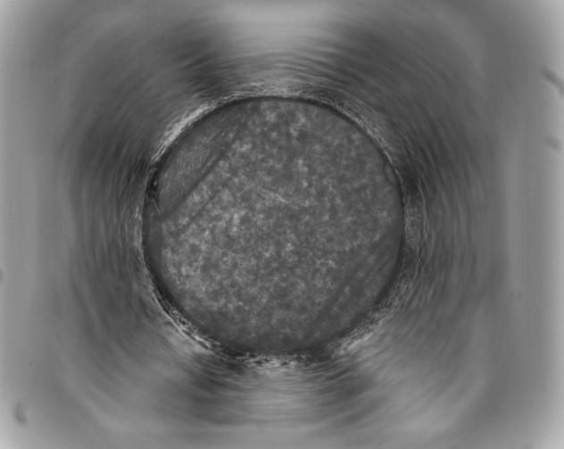 X0000094790434200712071232