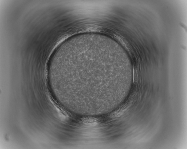 X0000094790435200712071232