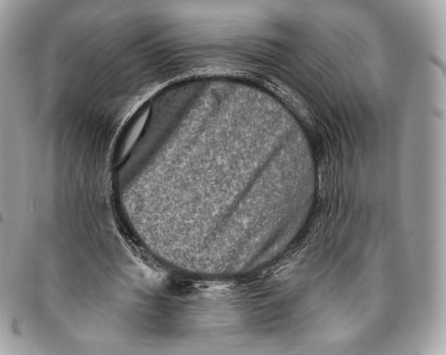 X0000094790436200712071232